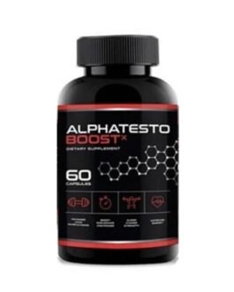 Alpha Testo Boost X