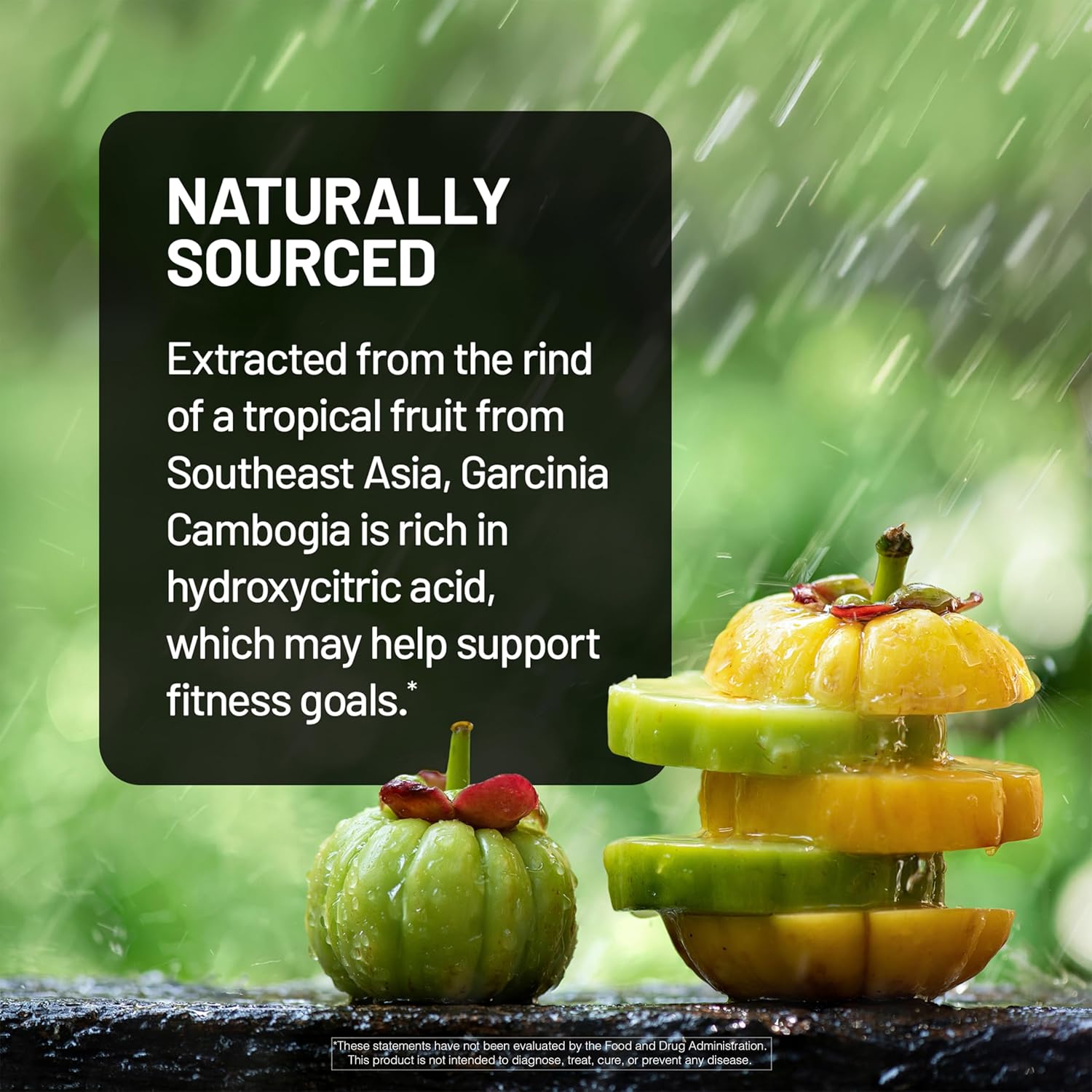 NatureWise - Image 3