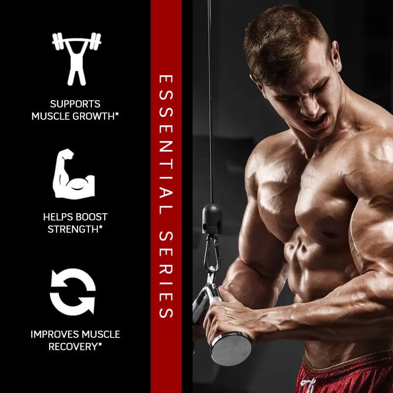 Catfit Creatine Monohydrate - Image 2