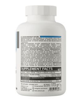 Creatine Monohydrate|OstroVit